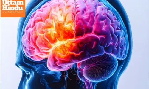 Unlock your full potential: Brain boosting techniques for better memory