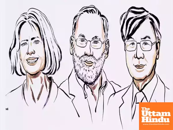Breakthrough Discovery Wins 2025 Nobel Prize in Physiology or Medicine for Three Scientists