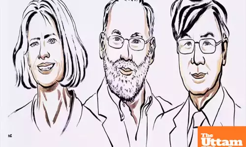 Breakthrough Discovery Wins 2025 Nobel Prize in Physiology or Medicine for Three Scientists