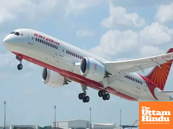 Air India flight from Colombo to Chennai hit by bird strike, return trip scrapped