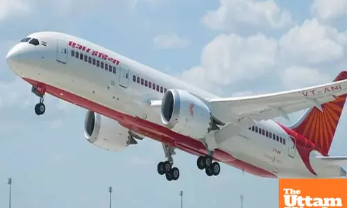 Air India flight from Colombo to Chennai hit by bird strike, return trip scrapped