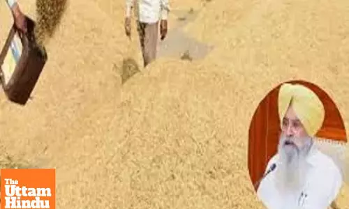 Punjab Mandi Board Sets Up Control Room to Ensure Smooth Paddy Procurement