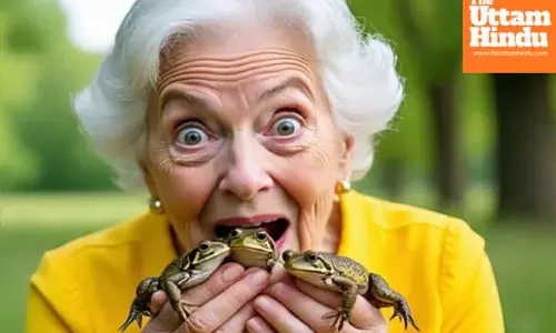To cure back pain, elderly woman swallows 8 live frogs — what happened next