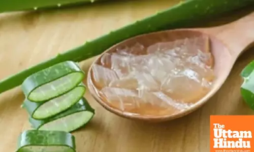 From Diabetes to Digestion: Aloe Vera Is a Natural Healer for the Body and Skin