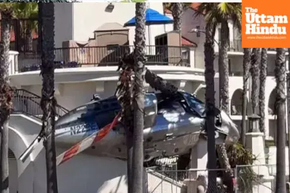 Helicopter crashes into tree in California, terrifying video surfaces