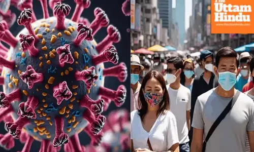 Japan declares epidemic after more than 4,000 people hospitalized