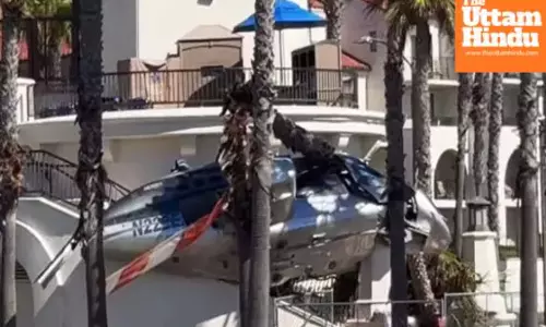 Helicopter crashes into tree in California, terrifying video surfaces