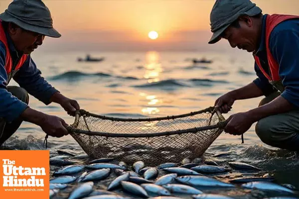 Catching Small Fish Will Now Cost You: Maharashtra Government Sets Minimum Legal Size; Violations to Invite Strict Action Catching Small Fish Will Now Cost You: Maharashtra Government Sets Minimum Legal Size; Violations to Invite Strict Action