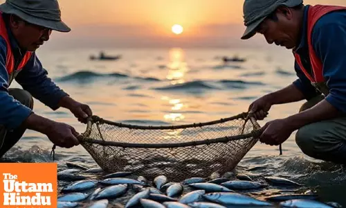 Catching Small Fish Will Now Cost You: Maharashtra Government Sets Minimum Legal Size; Violations to Invite Strict Action