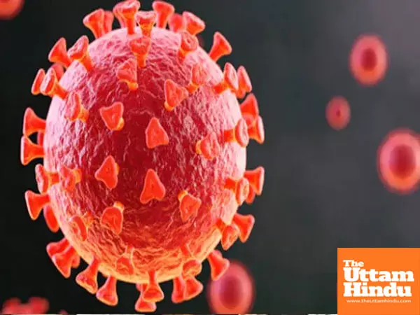 Covid-19 infection in fathers linked to brain and behavioral changes in children, study finds Covid-19 infection in fathers linked to brain and behavioral changes in children, study finds