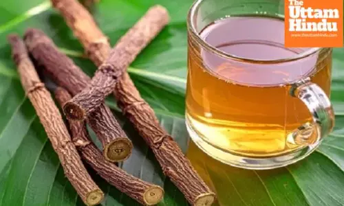 Himalayan wonder Mulethi offers relief from stomach and skin diseases