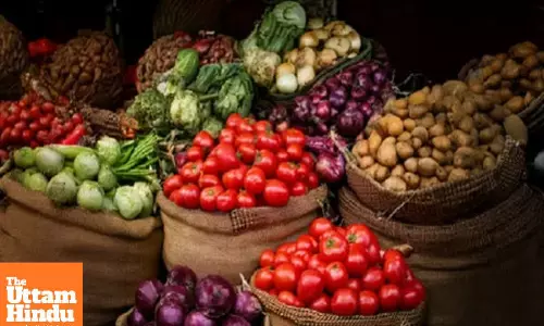 Relief for Agricultural and Rural Workers as Inflation Rates Fall in September: -0.07% and 0.31%