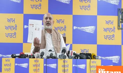 Mohali court declares viral video against CM Mann fake: Orders its removal within 24 hours, Court directs google to block search results