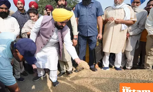 Around 61.01 lakh MT procured in Punjab, payment worth Rs 13073.07 crore made to farmers :   CM Mann