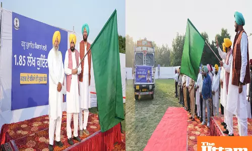 Punjab government starts process to distribute free wheat seeds to farmers in flood affected districts