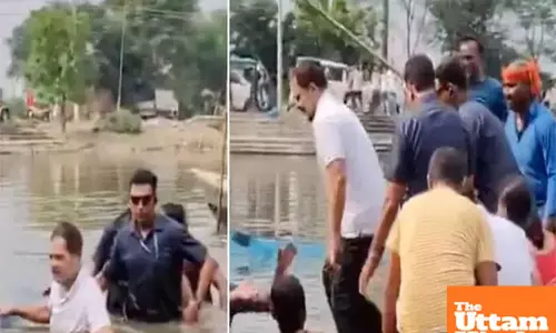 Rahul Gandhis Desi Aandolan: Congress Leaders Fishy Adventure Goes Viral! Watch VIDEO