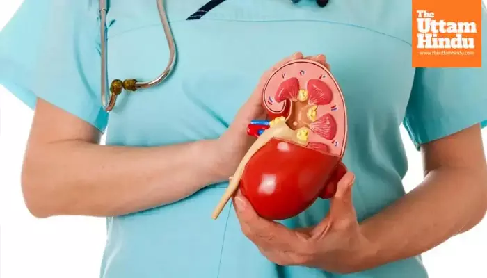 Alarming rise: India now second in the world for chronic kidney disease cases Alarming rise: India now second in the world for chronic kidney disease cases