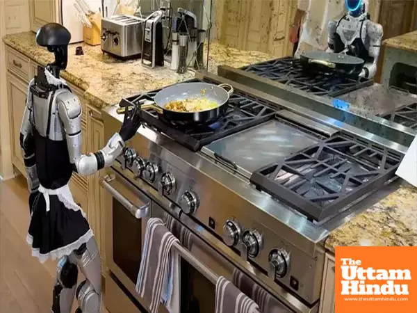 Robot rampage: Chinese kitchen caper goes viral - watch robot fumble, fall flat Robot rampage: Chinese kitchen caper goes viral - watch robot fumble, fall flat