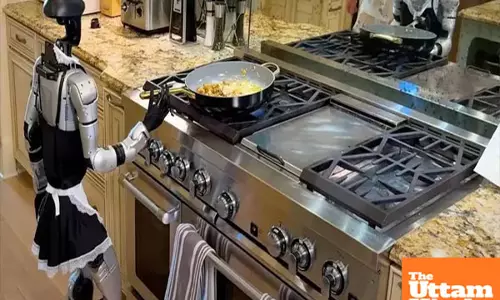 Robot rampage: Chinese kitchen caper goes viral - watch robot fumble, fall flat