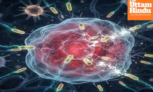 Breakthrough in science: Cancer treatment to be done using bacteria