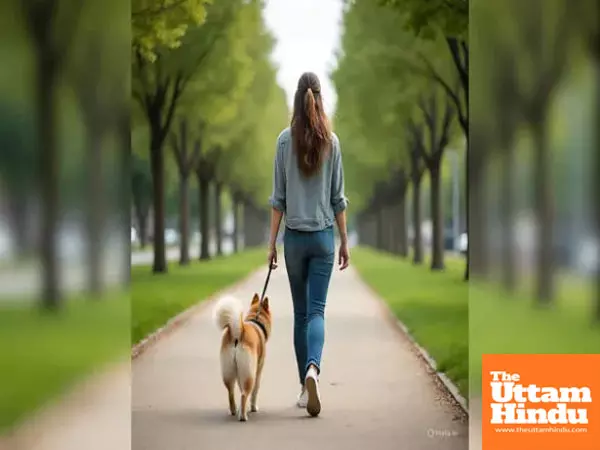 Woman molested, phone snatched while walking dog in Bengaluru, police hunt suspect Woman molested, phone snatched while walking dog in Bengaluru, police hunt suspect