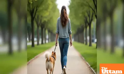 Woman molested, phone snatched while walking dog in Bengaluru, police hunt suspect