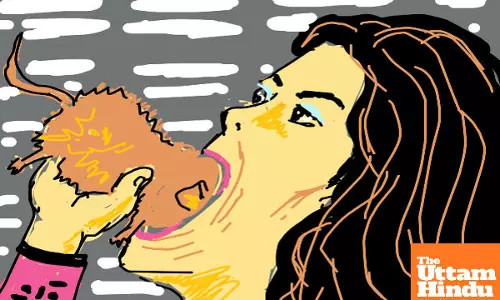 Woman Eats 50 Rats to Lose 14 Kg: A Shocking Diet Trend