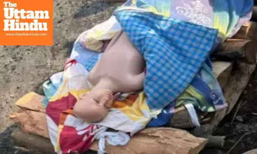 Funeral Pyre, Shroud and a Suspicious Plot: Two Youths Arrive to Cremate a Plastic Dummy, Plan Fails After Alert Citizen Intervenes