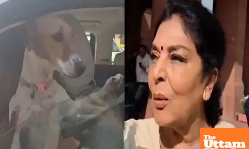 Renuka Chowdhury walks into Parliament with a dog, sparks controversy after saying, “Those who bite are sitting in Parliament” Renuka Chowdhury walks into Parliament with a dog, sparks controversy after saying, “Those who bite are sitting in Parliament”