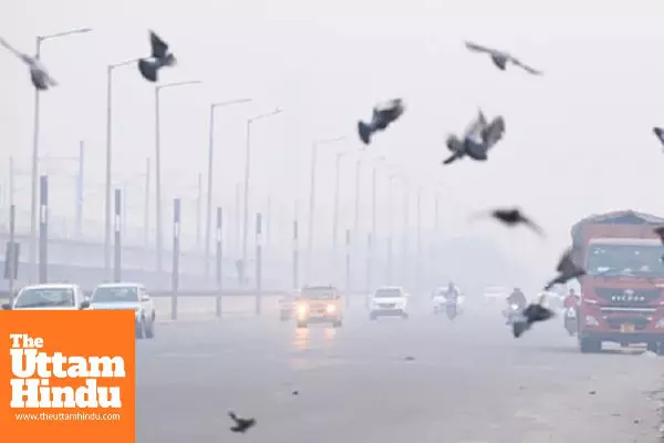 Delhi-NCR’s air turns toxic, AQI near 450; hospitals see surge in patients