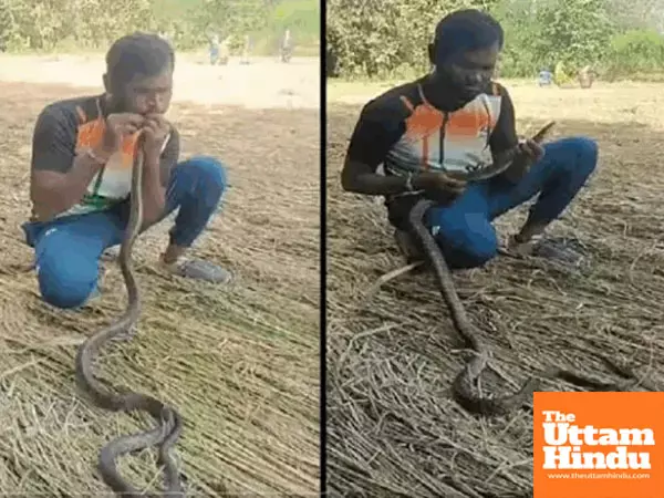 Man gives snake mouth‑to‑mouth CPR, revives it after electrocution; watch video