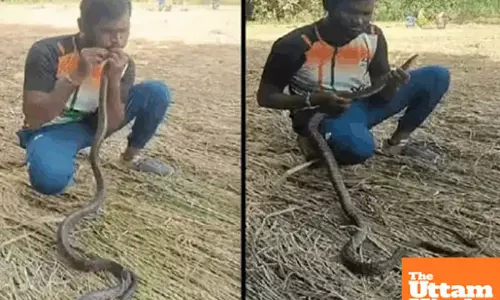 Man gives snake mouth‑to‑mouth CPR, revives it after electrocution; watch video