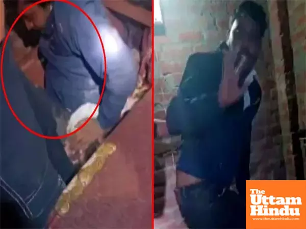 Lower under the sheets! In-laws shocking discovery of hidden lover sparks surprising twist Lower under the sheets! In-laws shocking discovery of hidden lover sparks surprising twist