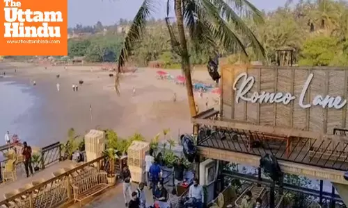 Goa Club Fire Case: Luthra Brothers Approach Court to Avoid Arrest, File Anticipatory Bail Plea in Rohini Court