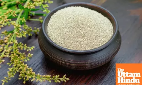 Amaranth Seeds: A Superfood for Everyone From Elderly to Pregnant Women, Offering Multiple Health Benefits