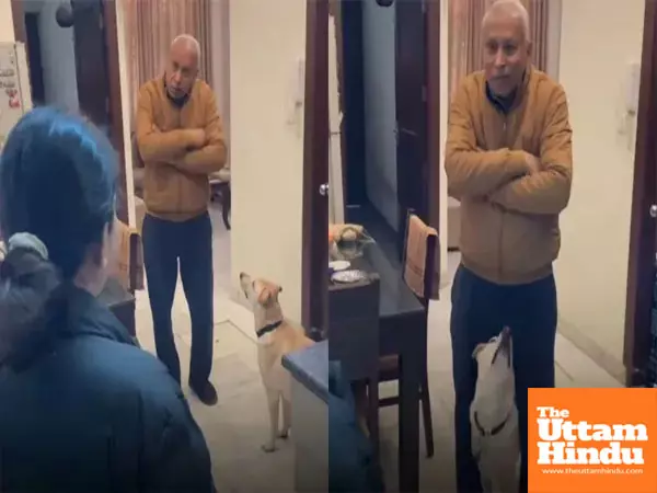 Aw! This furry friends got proof! Dont lie about me... and melt hearts with innocence Aw! This furry friends got proof! Dont lie about me... and melt hearts with innocence