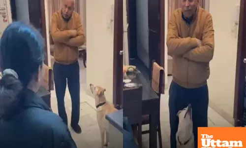 Aw! This furry friends got proof! Dont lie about me... and melt hearts with innocence