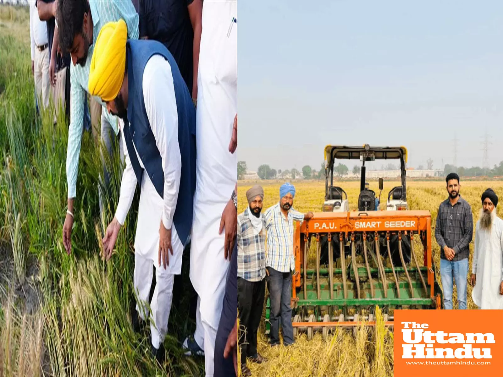 Punjab’s young generation returning to agriculture, young farmers earning profits of ₹12 to 14 lakh Punjab’s young generation returning to agriculture, young farmers earning profits of ₹12 to 14 lakh