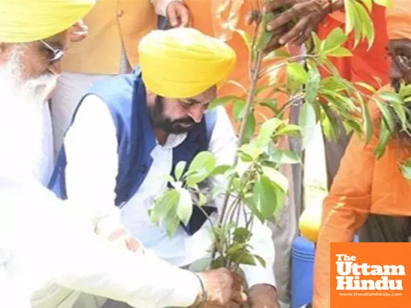 Punjabs tree cover increases, the vision of Har Ghar Baghicha (Every home garden) is being realized Punjabs tree cover increases, the vision of Har Ghar Baghicha (Every home garden) is being realized
