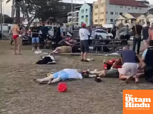 Australias Bondi beach terror attack: 12 killed, dozens injured in shooting at Jewish Hanukkah celebration Australias Bondi beach terror attack: 12 killed, dozens injured in shooting at Jewish Hanukkah celebration