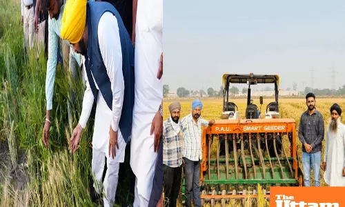 Punjab’s young generation returning to agriculture, young farmers earning profits of ₹12 to 14 lakh