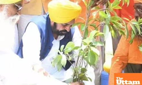 Punjabs tree cover increases, the vision of Har Ghar Baghicha (Every home garden) is being realized