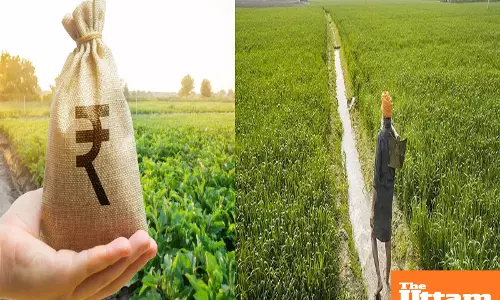 Mann government stands with farmers: Promises to purchase every sack of paddy