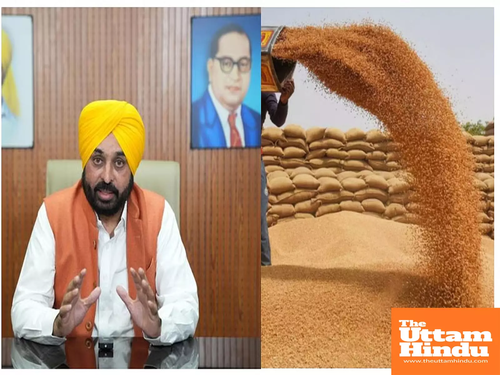 Mann government standing with flood-affected farmers, ₹74 crore worth of wheat seeds being distributed free of cost Mann government standing with flood-affected farmers, ₹74 crore worth of wheat seeds being distributed free of cost