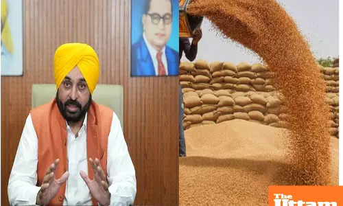 Mann government standing with flood-affected farmers, ₹74 crore worth of wheat seeds being distributed free of cost