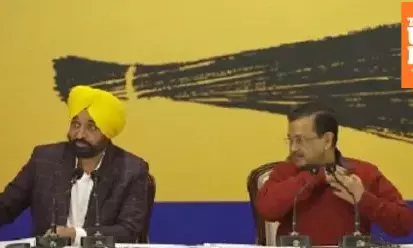 CM Mann takes swipe at Akali Dal, links third place to dinosaurs