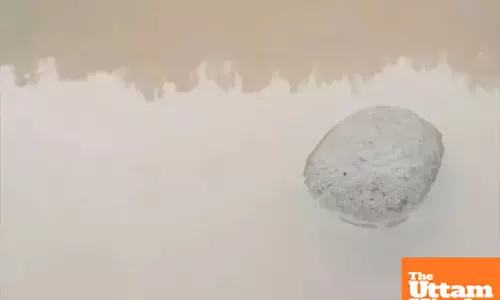 Miracle in Tawi: floating stone sparks Ram setu frenzy in Udhampur - watch