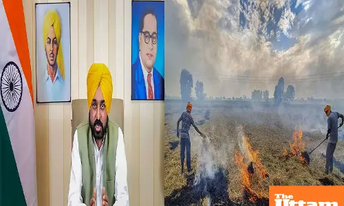 Mann government becomes guardian of environmental protection, record reduction in stubble burning cases in Punjab