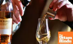 Planning to carry alcohol during air travel? know these important rules to avoid trouble at the airport