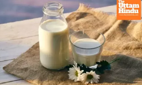 Giving milk to children every day: Benefits, risks, and the right quantity